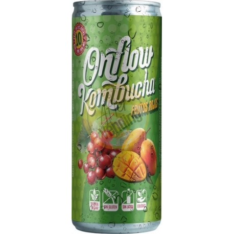 Kombucha Onflow Frutos Rojos